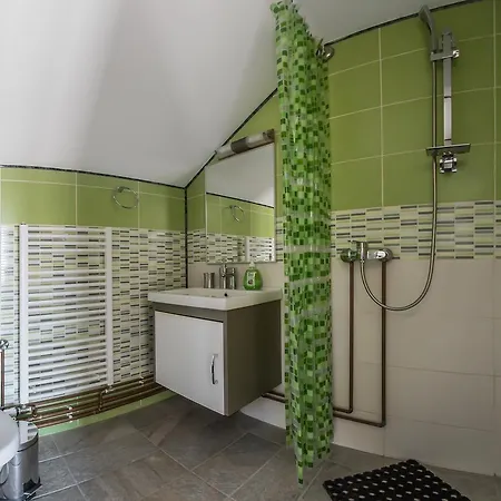 Guest house Casa Alex Novaci-Straini
