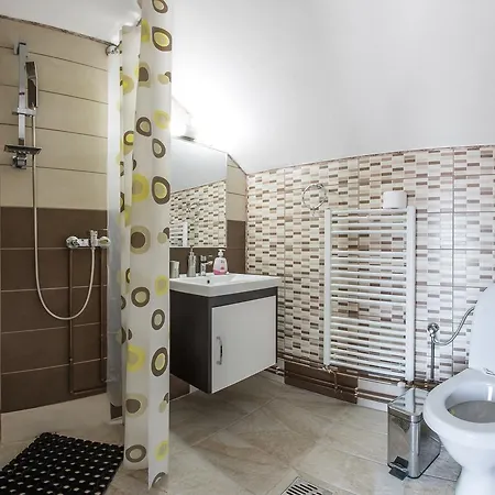 Guest house Casa Alex Novaci-Straini