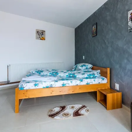 Casa Alex Guest house *