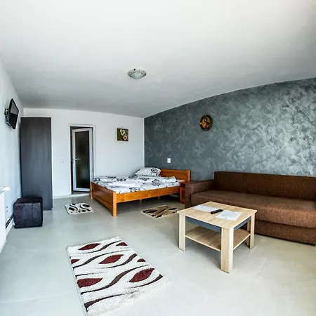 Guest house Casa Alex *